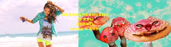 бошки Горнозаводск