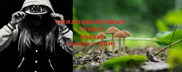 бошки Горнозаводск