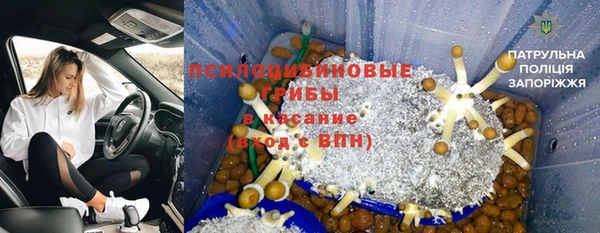 бошки Горнозаводск