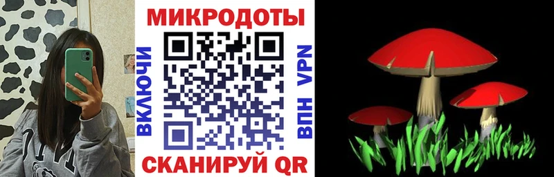 Купить  Красково  Псилоцибиновые грибы GOLDEN TEACHER 